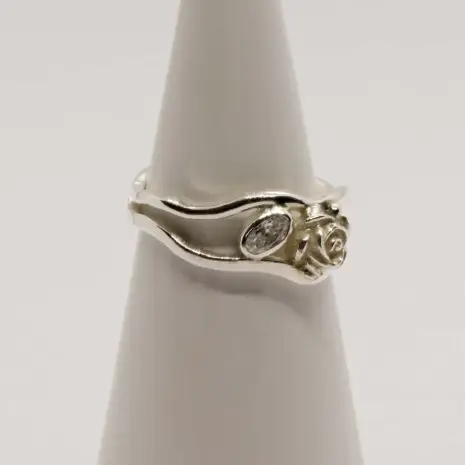 Lia Rosa 2 Lia Rosa 2