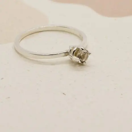 The blush light ring 1 The blush light ring 1