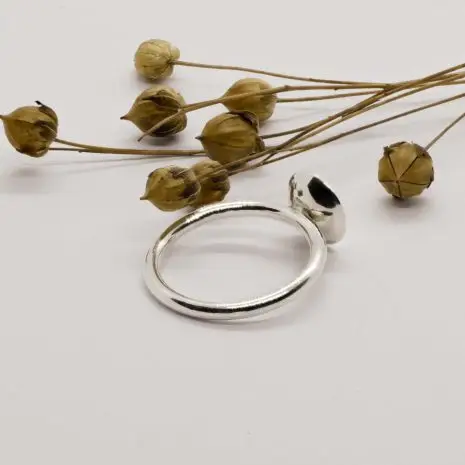 Moonlight dish ring 2 Moonlight dish ring 2