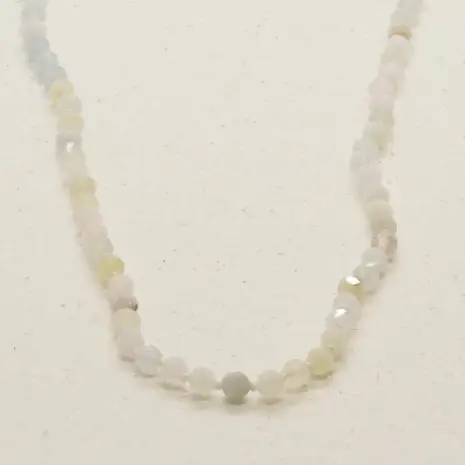 Whispers of Rose Whispers of Rose